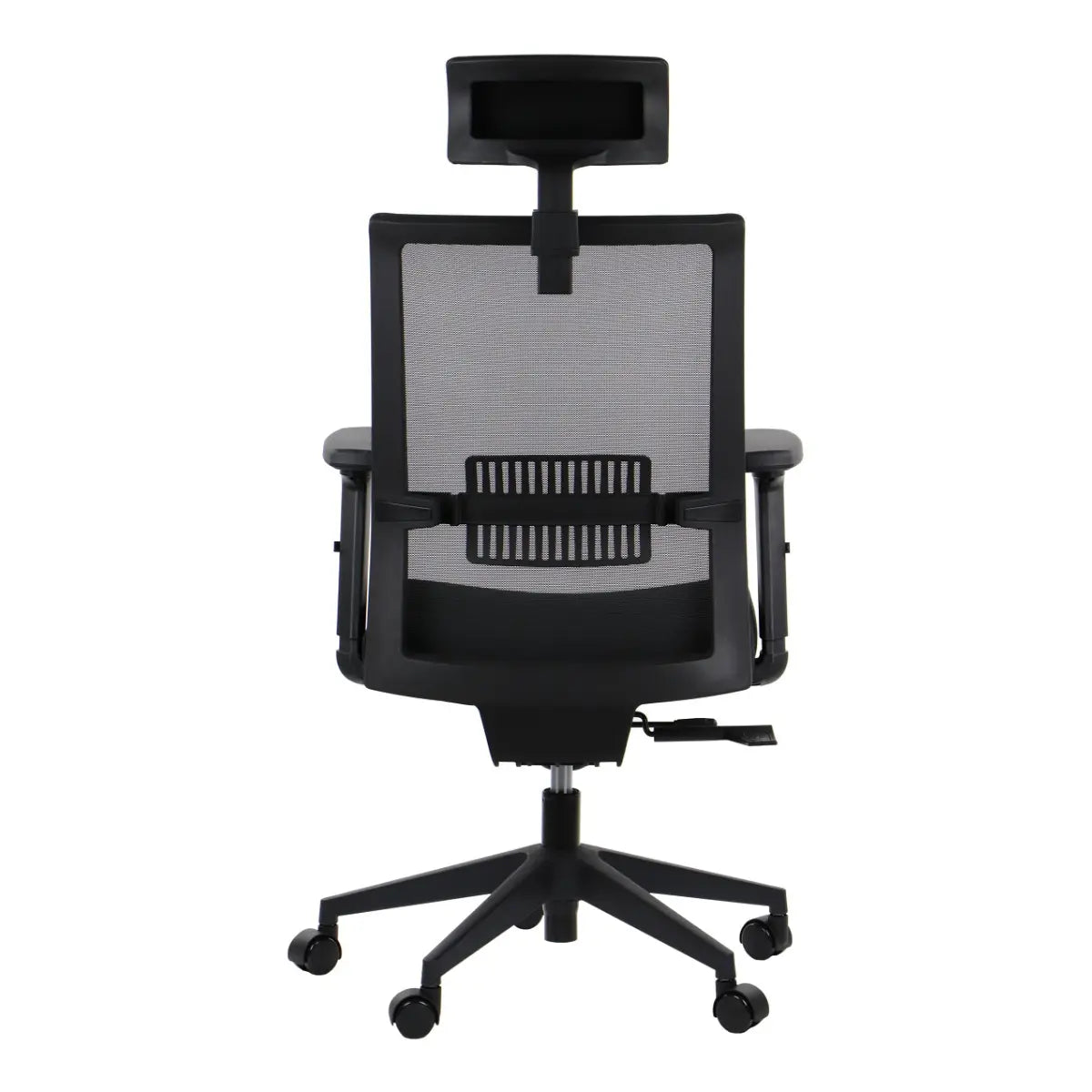 Ergonomic Office Chair RIVERTON
