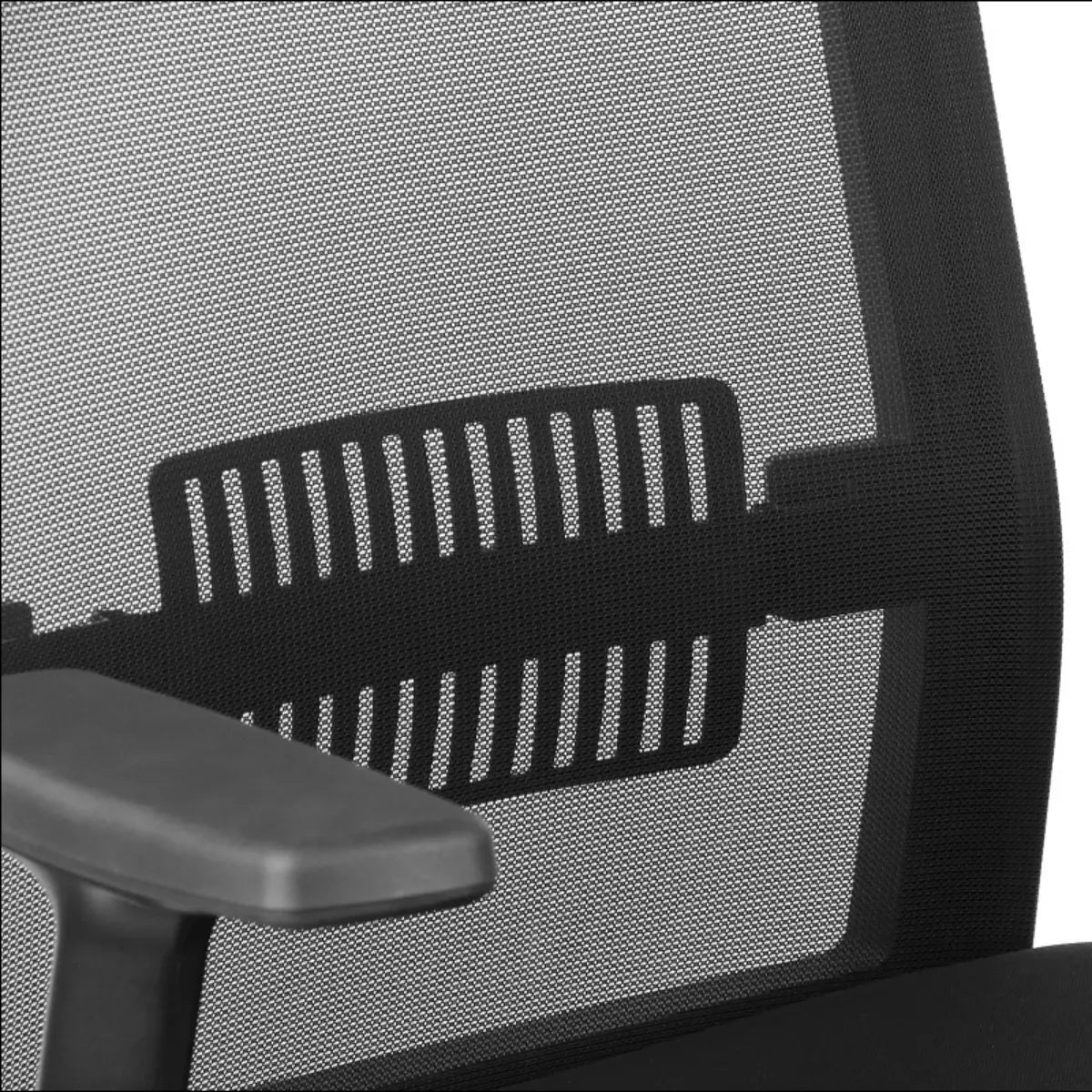 Ergonomic Office Chair RIVERTON