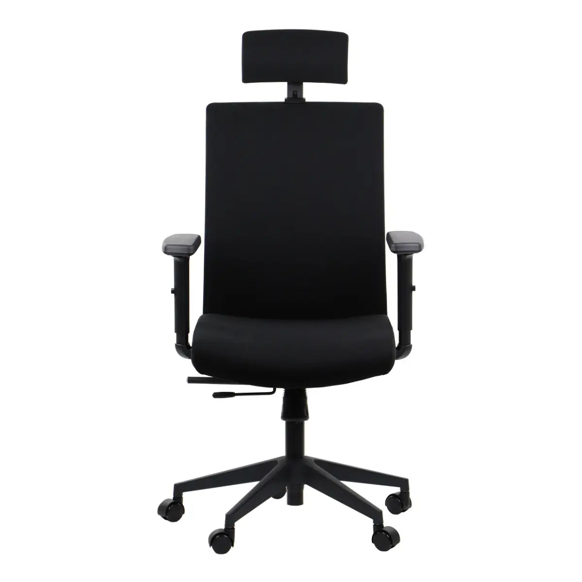 Ergonomic Office Chair RIVERTON