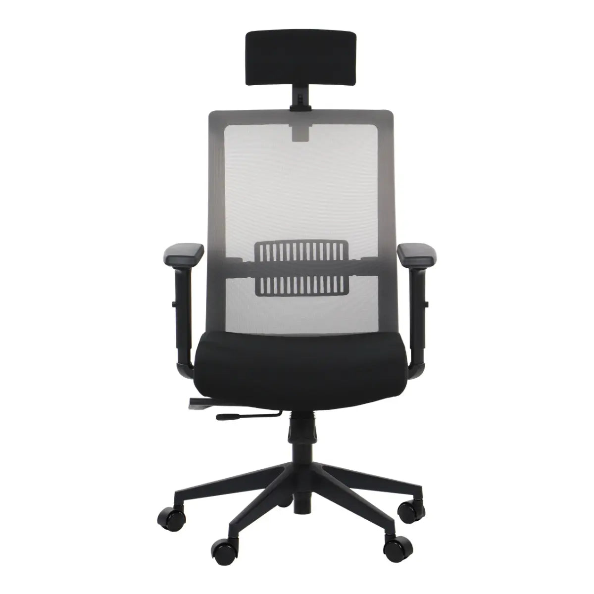Ergonomic Office Chair RIVERTON