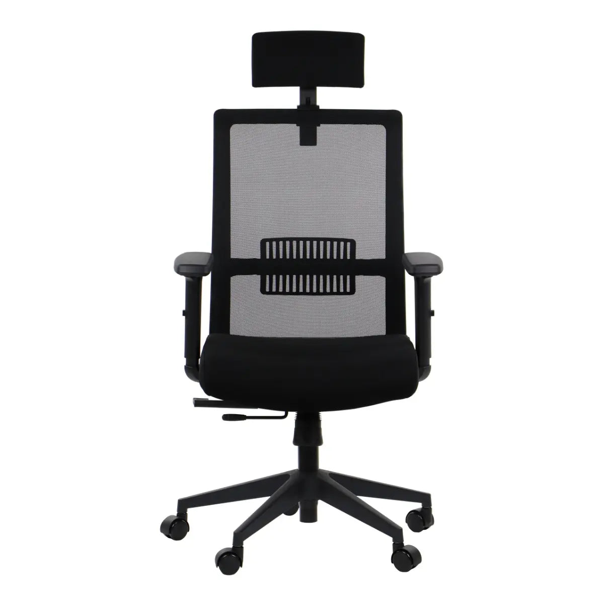 Ergonomic Office Chair RIVERTON