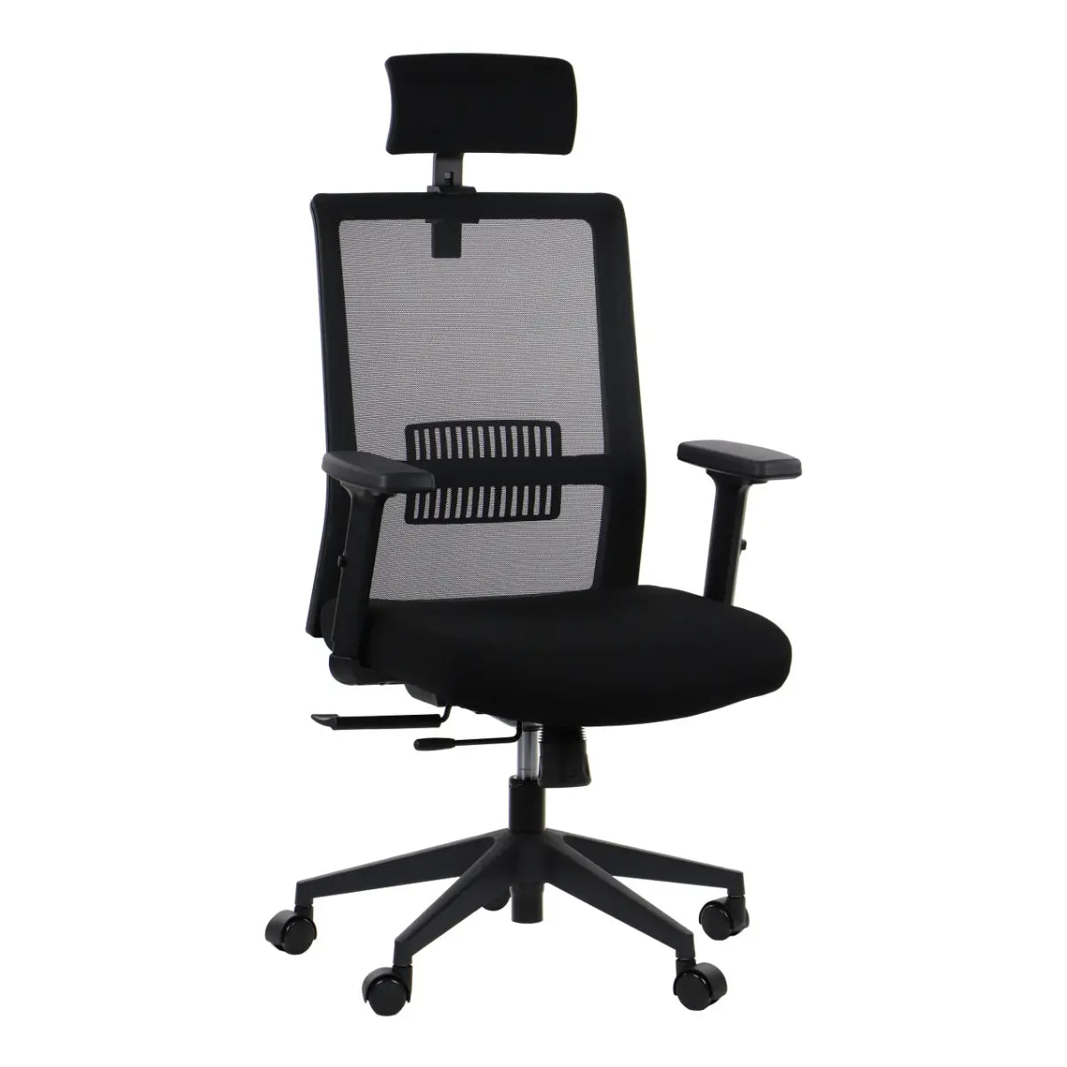Ergonomic Office Chair RIVERTON