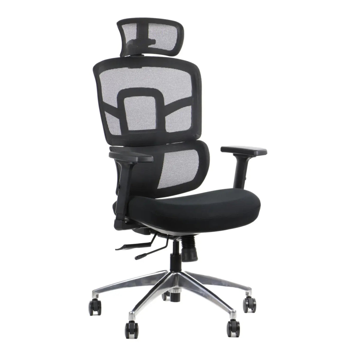 Ergonomic Office Chair TREX
