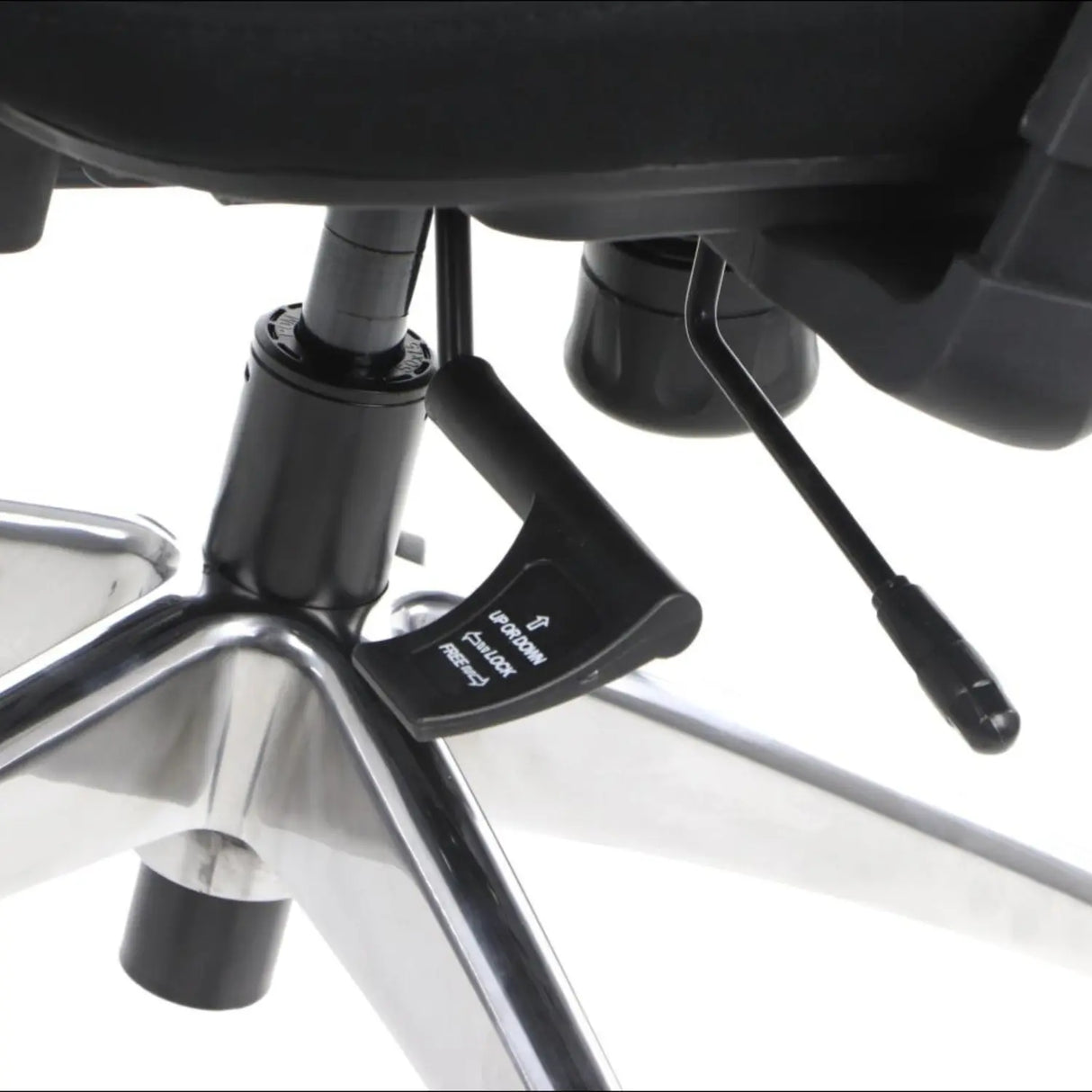 Ergonomic Office Chair TREX