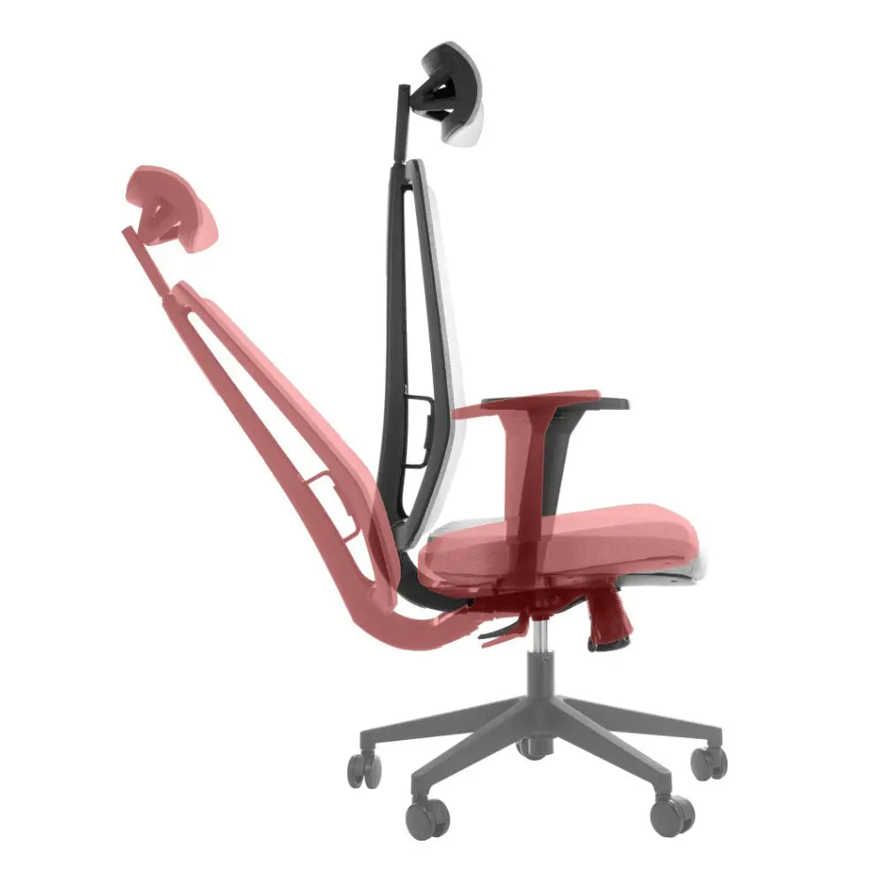 Ergonomic Office Chair ZN-805-C