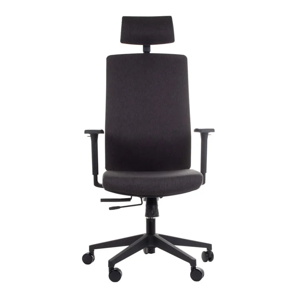 Ergonomic Office Chair ZN-805-C