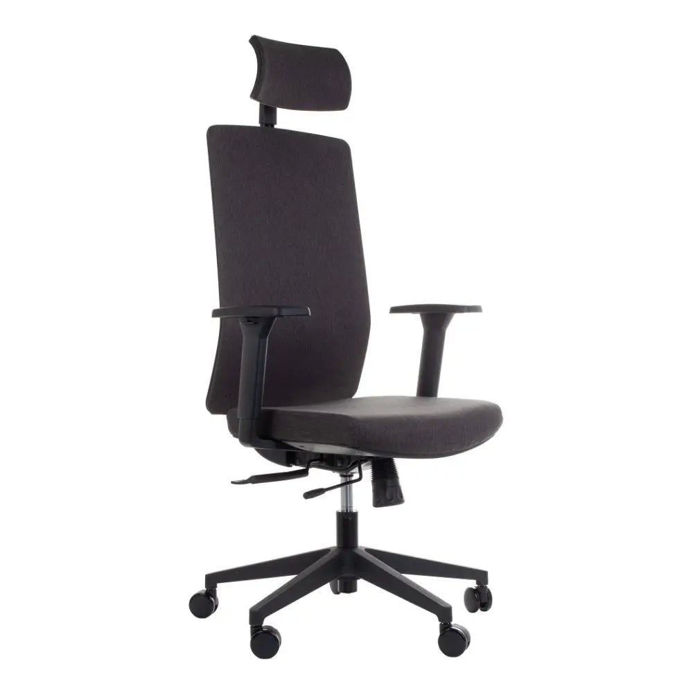 Ergonomic Office Chair ZN-807-B