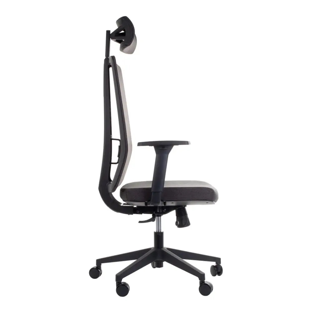 Ergonomic Office Chair ZN-807-B