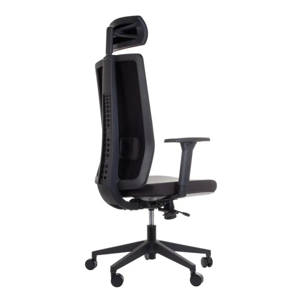Ergonomic Office Chair ZN-807-B