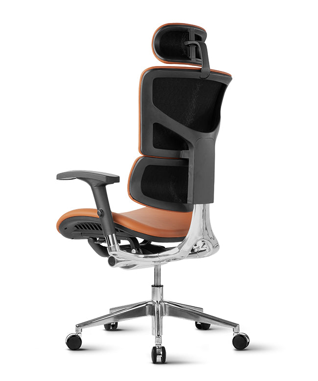 Ergonomic Office Chair Smart Deluxe