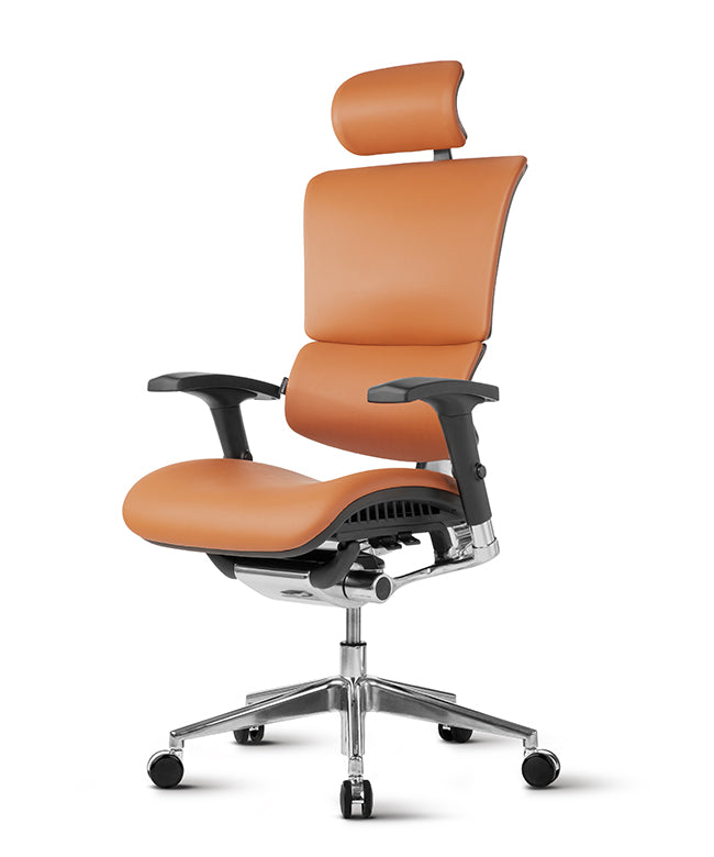 Ergonomic Office Chair Smart Deluxe