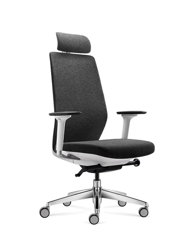Ergonomic Office Chair Comfort