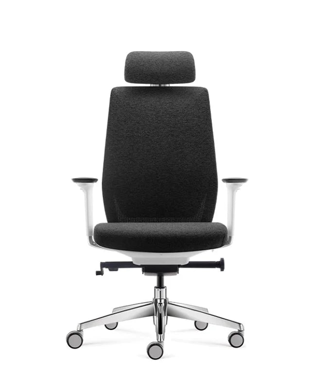 Ergonomic Office Chair Comfort
