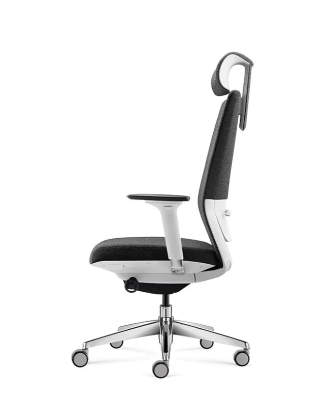 Ergonomic Office Chair Comfort