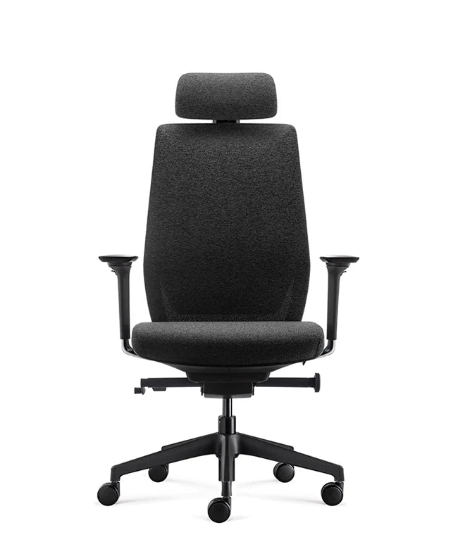 Ergonomic Office Chair Comfort