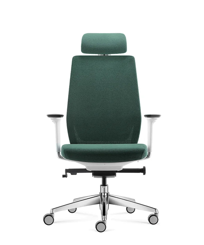 Ergonomic Office Chair Comfort
