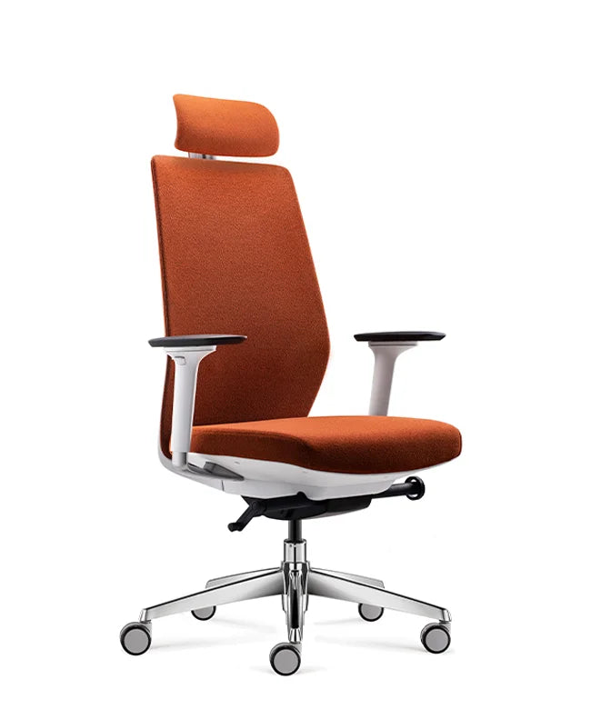 Ergonomic Office Chair Comfort
