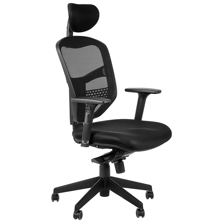 Ergonomic Office Chair HN-5038