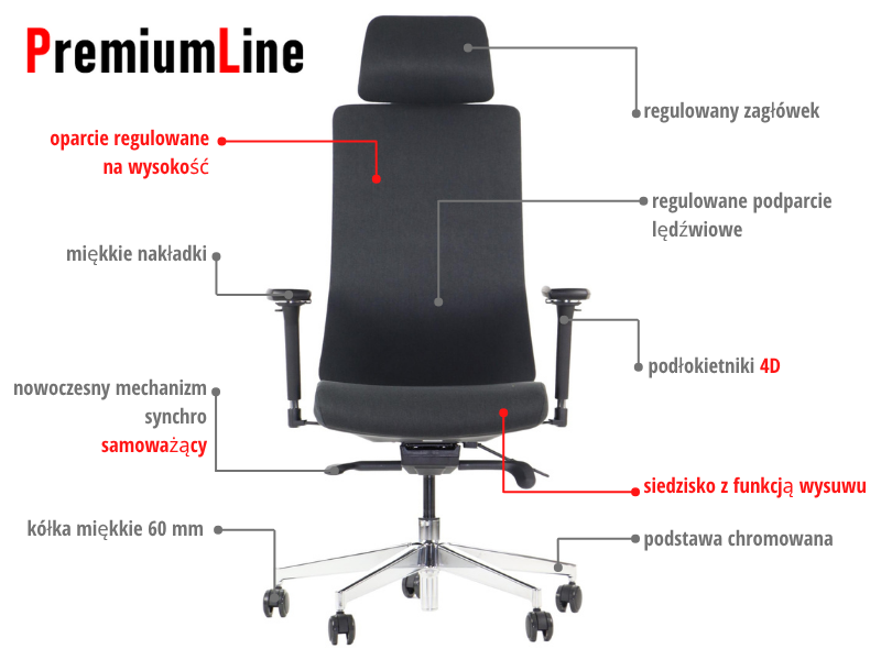 Ergonomic Office Chair Akcent PLUS