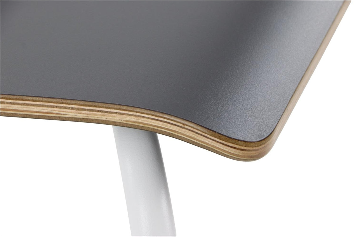 Conference Chair Werdi B