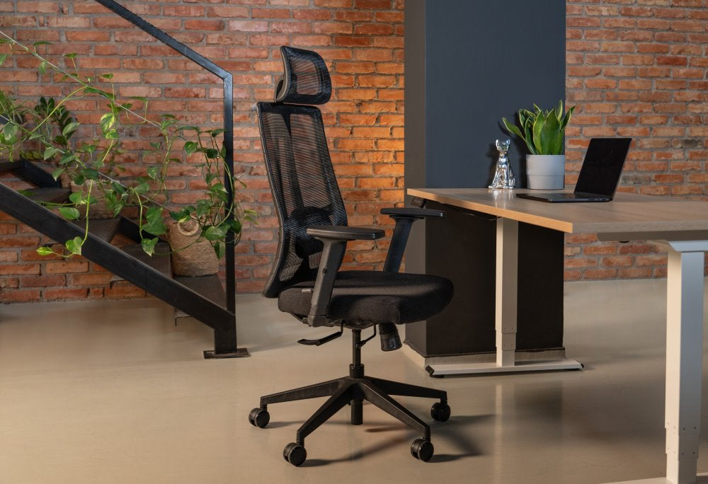 Ergonomic Office Chair Eiffel Lite