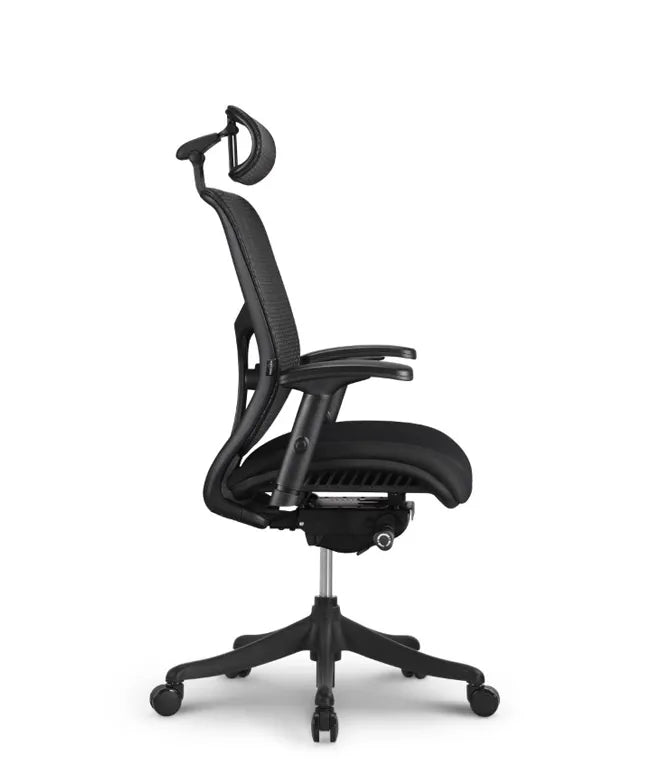 Ergonomic Office Chair Erg PRO