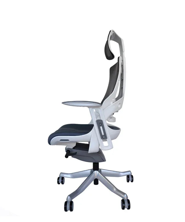 Ergonomic Office Chair iTrek