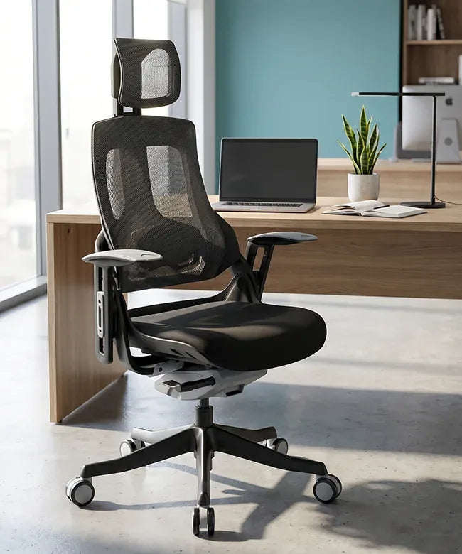 Ergonomic Office Chair iTrek