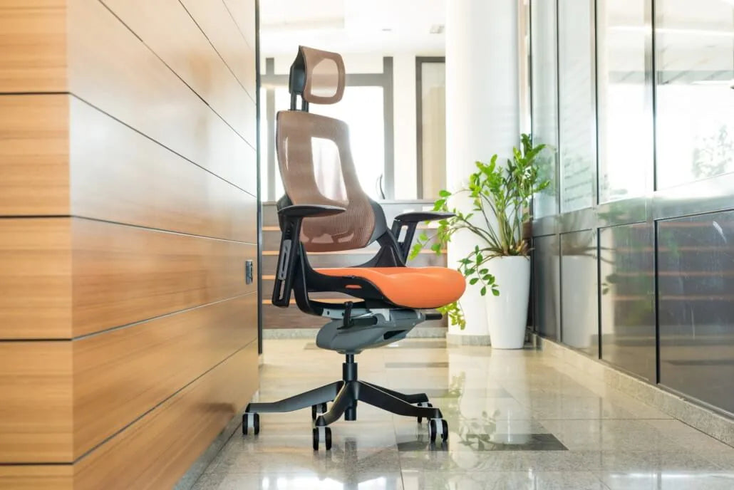 Ergonomic Office Chair iTrek