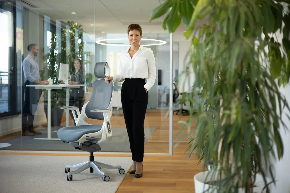 Ergonomic Office Chair iTrek