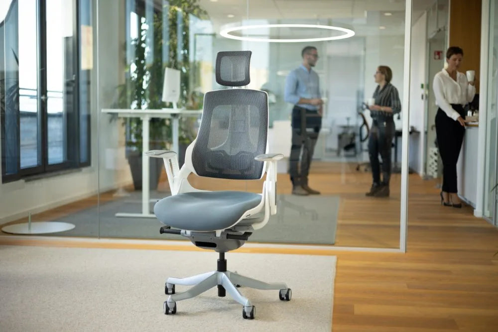 Ergonomic Office Chair iTrek