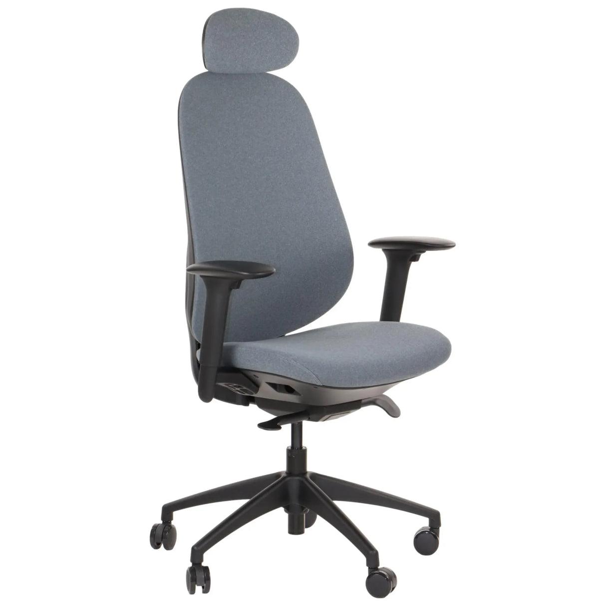 Ergonomic Office Chair Larston