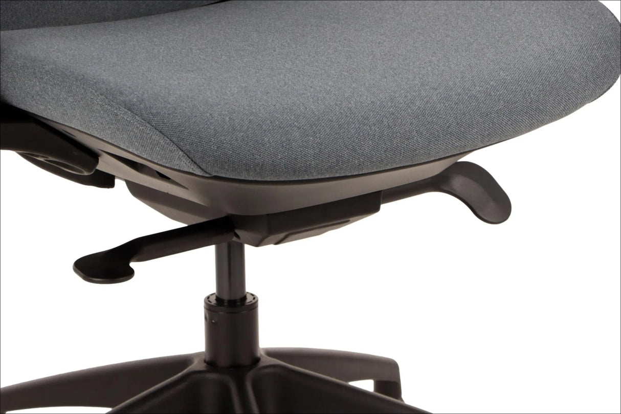 Ergonomic Office Chair Larston
