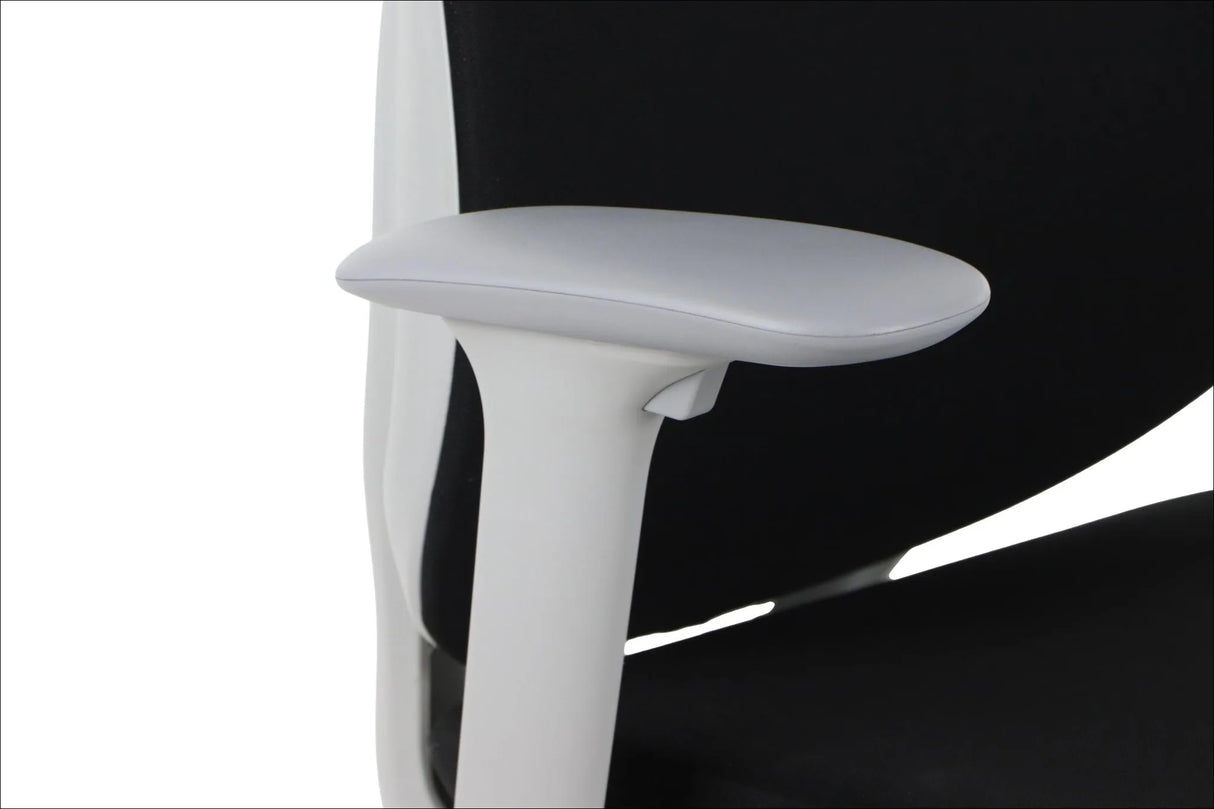 Ergonomic Office Chair Larston GF