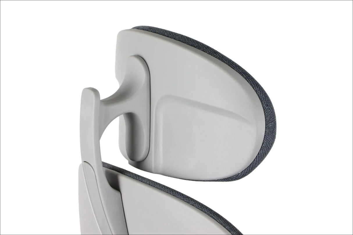 Ergonomic Office Chair Larston GF