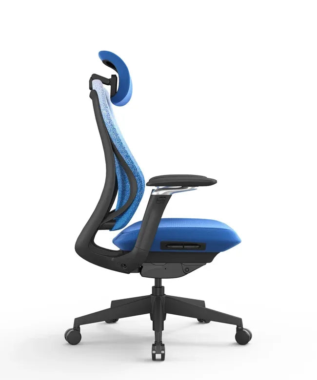 Ergonomic Office Chair Valaris Pro