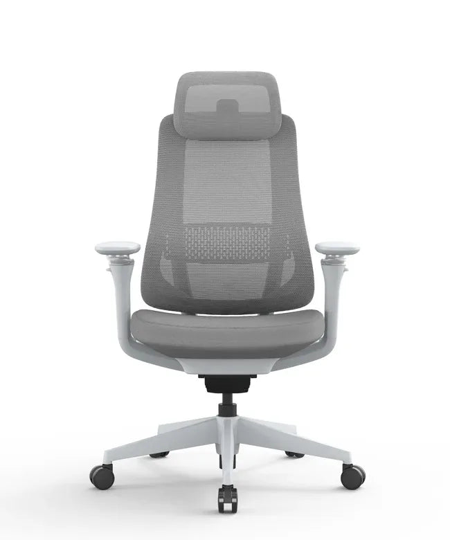 Ergonomic Office Chair Valaris Pro