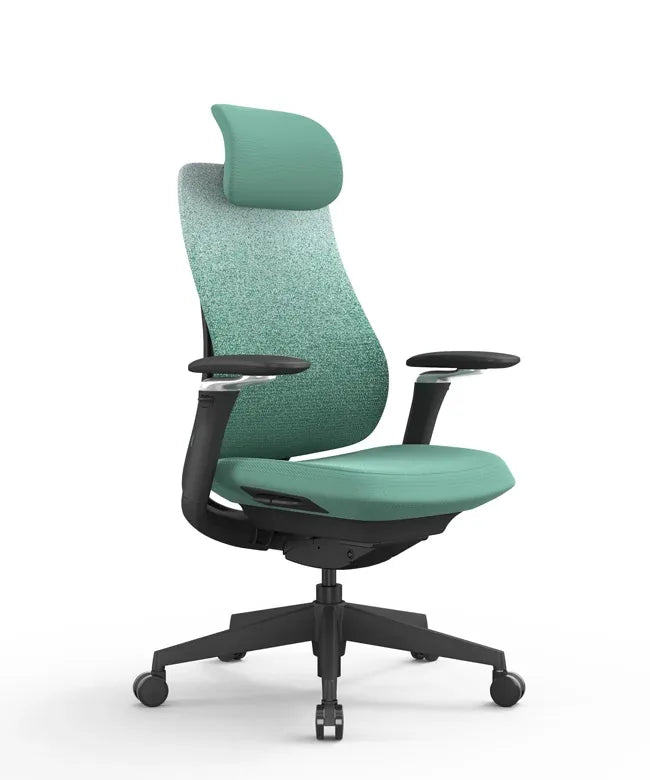 Ergonomic Office Chair Valaris Pro