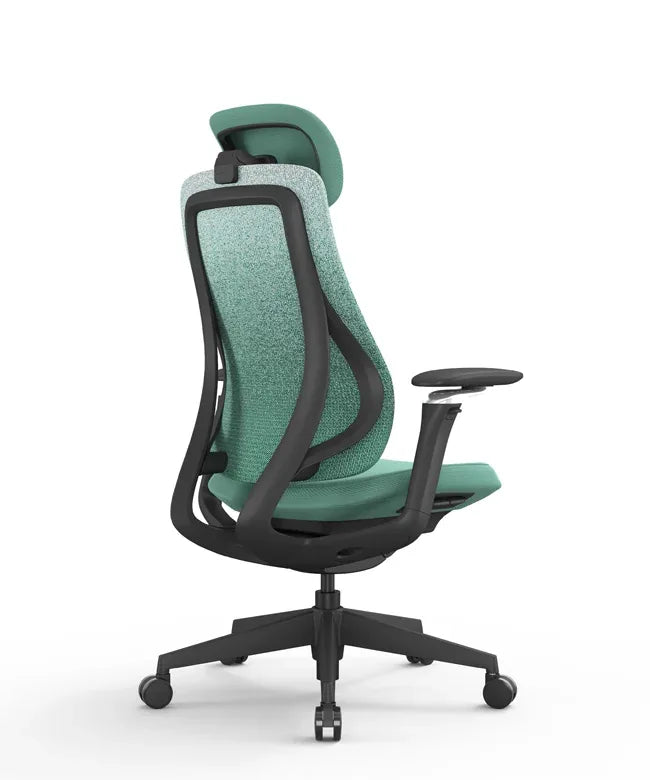 Ergonomic Office Chair Valaris Pro