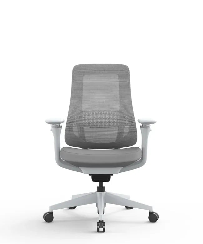 Ergonomic Office Chair Valaris Pro W