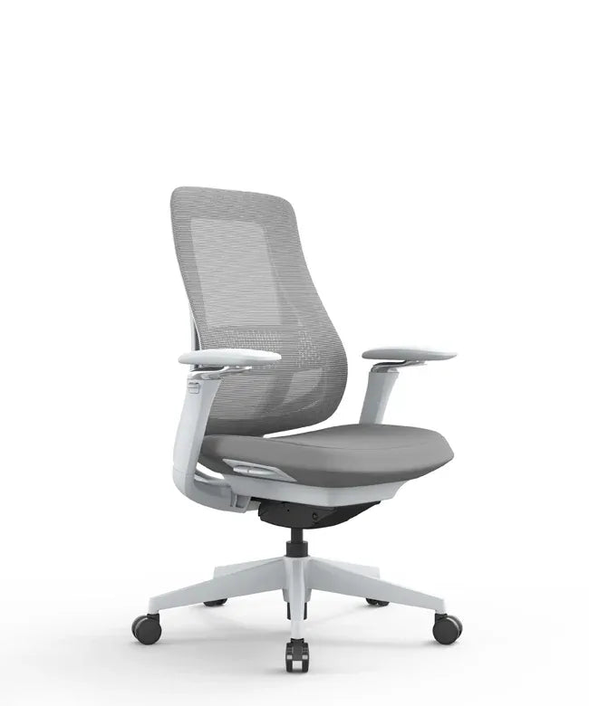 Ergonomic Office Chair Valaris Pro W