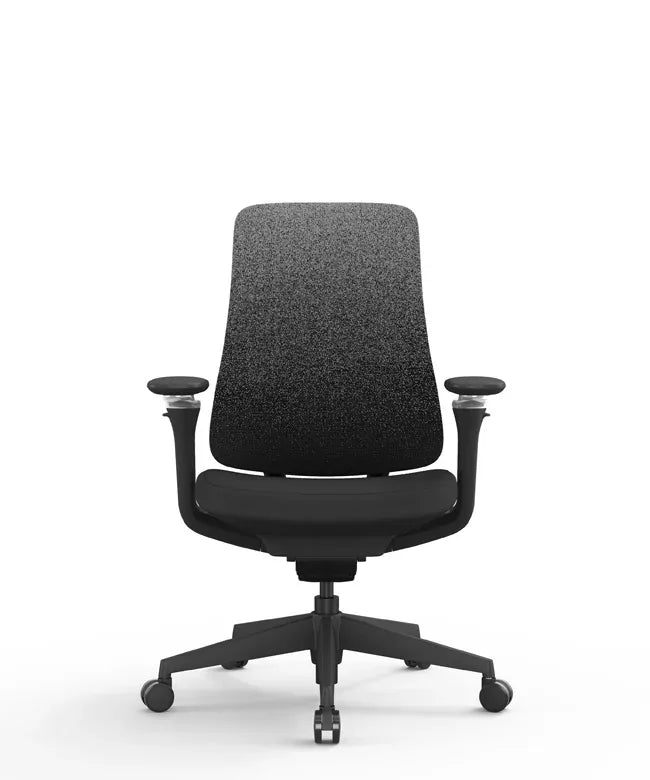 Ergonomic Office Chair Valaris Pro W
