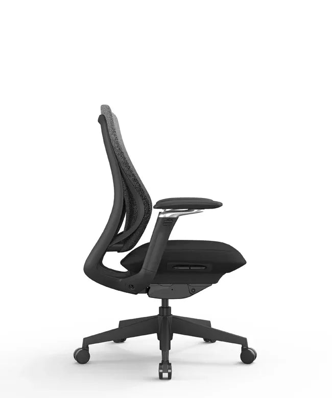 Ergonomic Office Chair Valaris Pro W