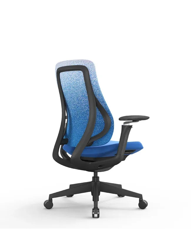 Ergonomic Office Chair Valaris Pro W
