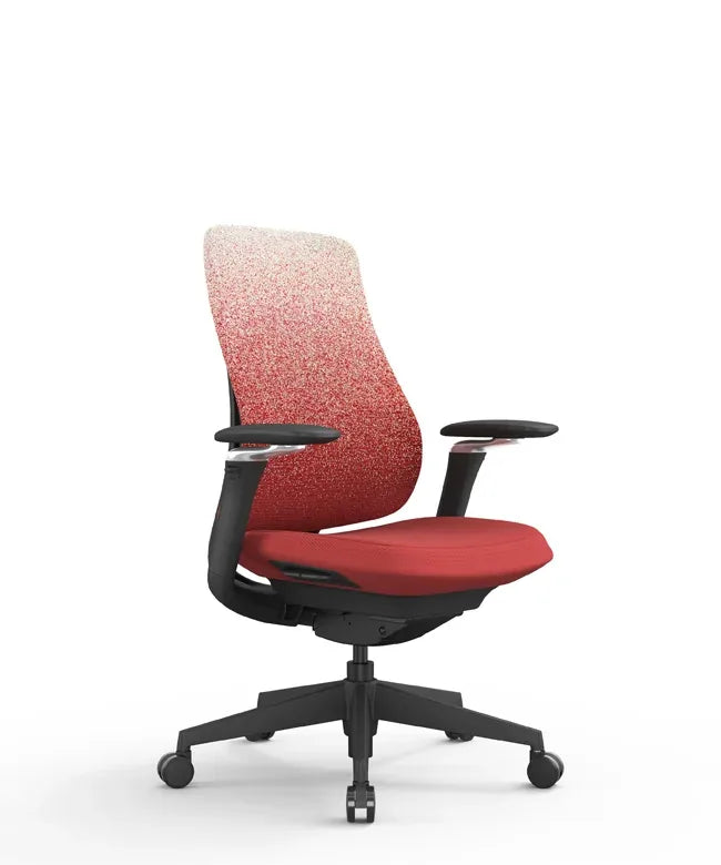Ergonomic Office Chair Valaris Pro W