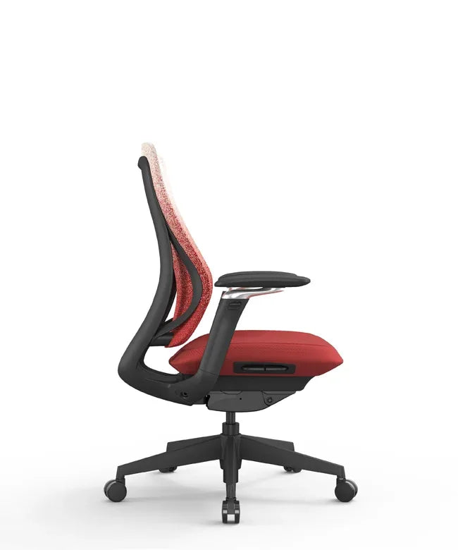 Ergonomic Office Chair Valaris Pro W