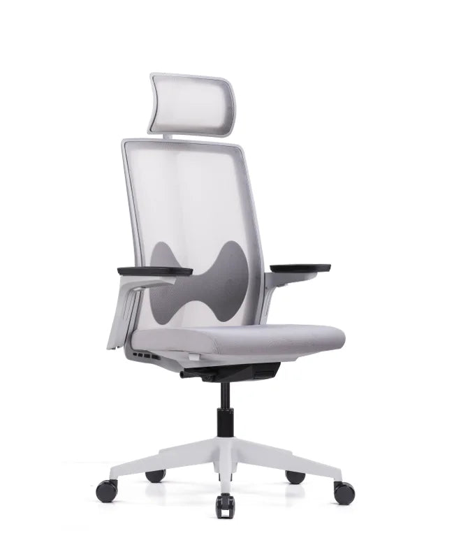 Ergonomic Office Chair Magnus