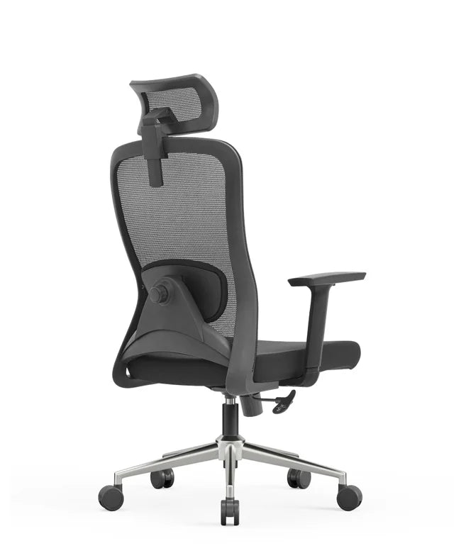Ergonomic Office Chair Nexus