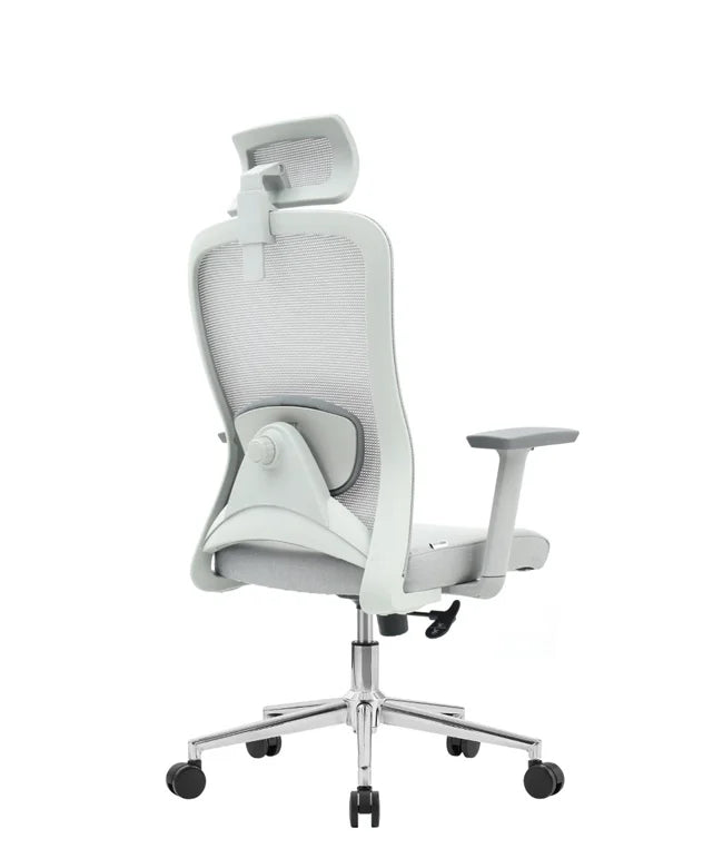 Ergonomic Office Chair Nexus