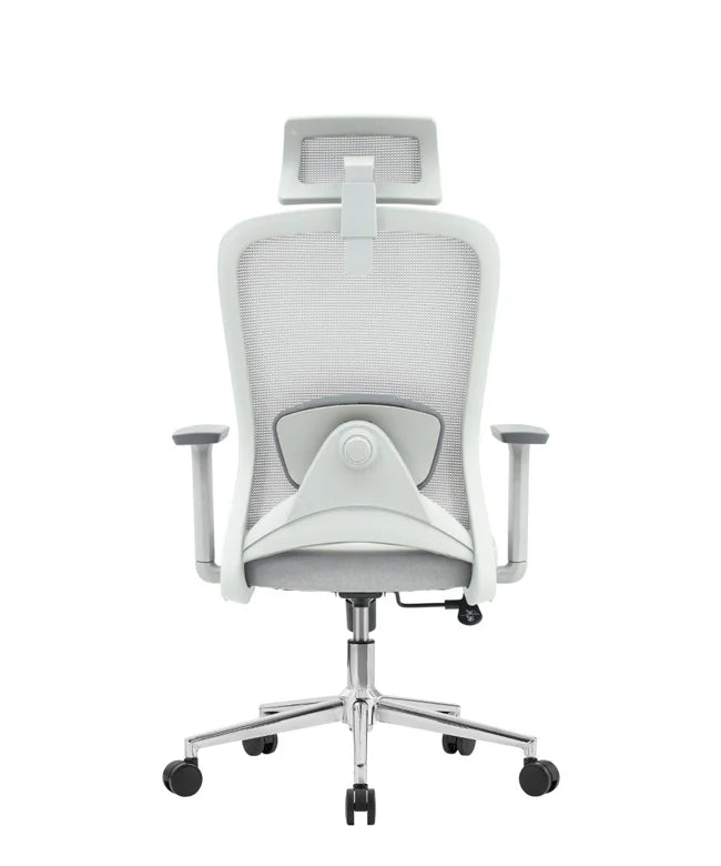 Ergonomic Office Chair Nexus